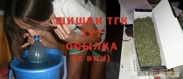 стаф Нея