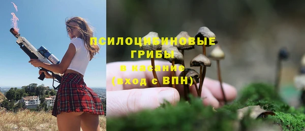 мяу мяу мука Алексеевка