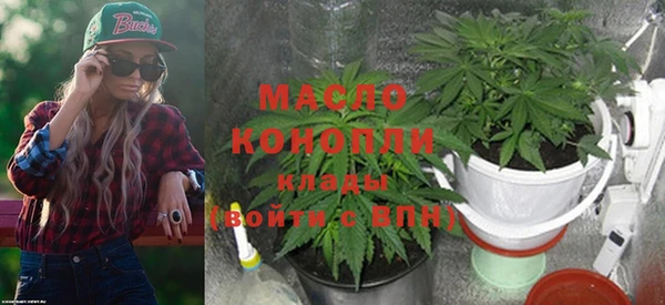 стаф Нея